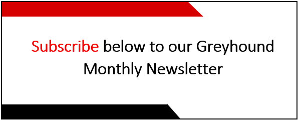 Greyhound Monthly newsletter